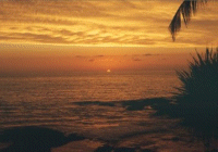 [Beautiful Hawai`i Sunset]